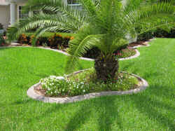 IMG_0319.JPG (1976138 bytes)