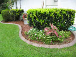 IMG_0324.JPG (1662714 bytes)