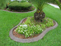 IMG_0325.JPG (1800313 bytes)